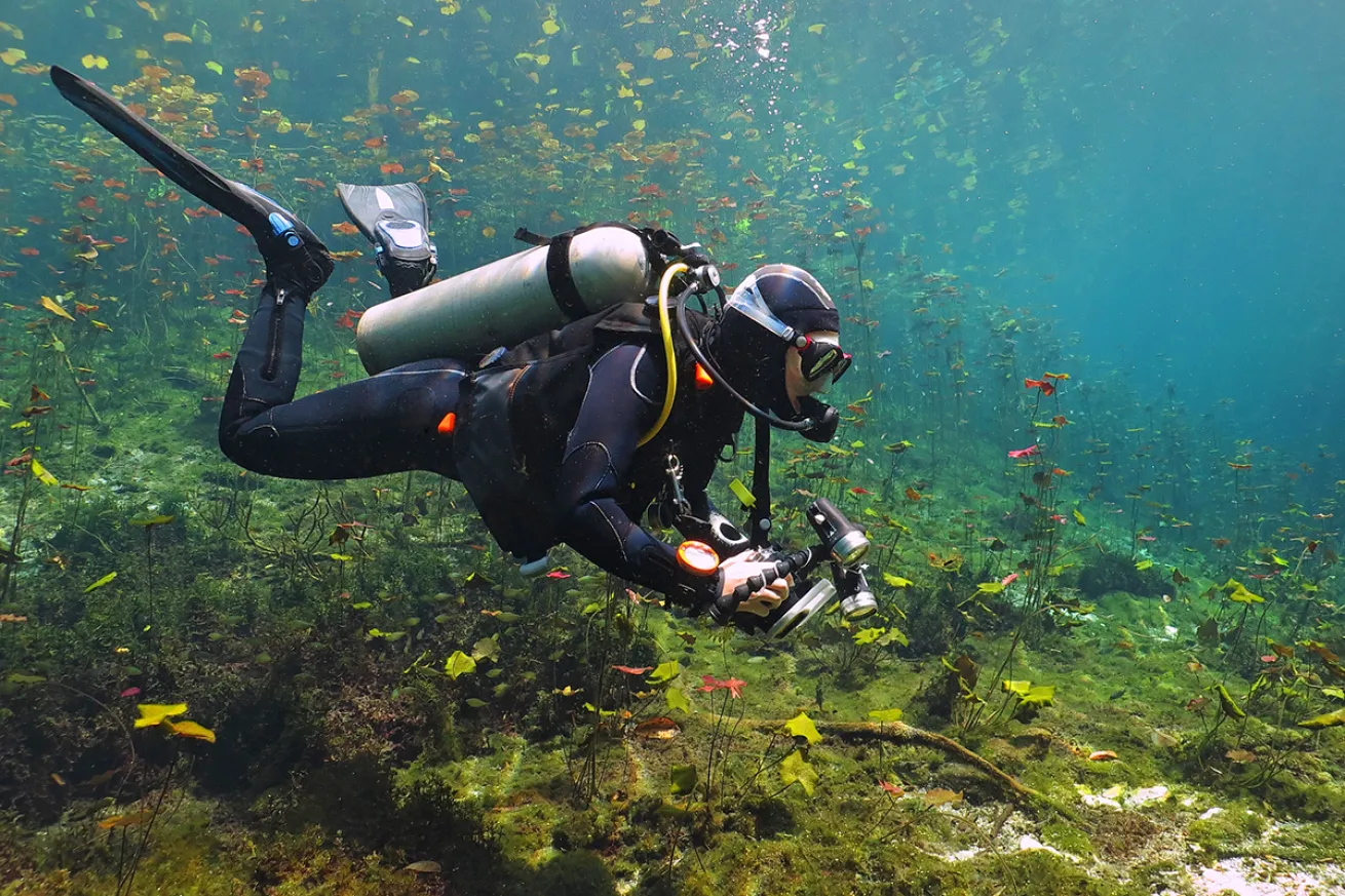 Night Diving