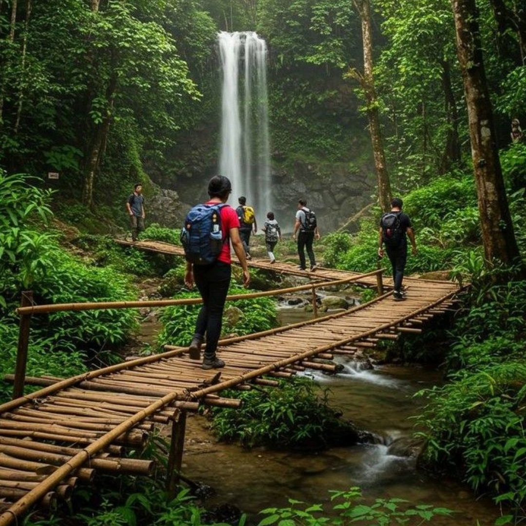 Guided Expeditions