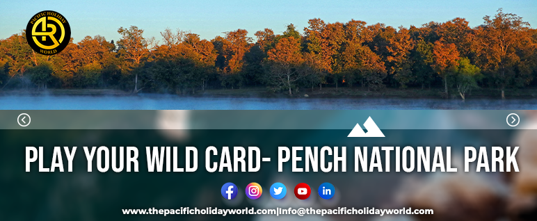 Play your Wild Card- Pench National Park