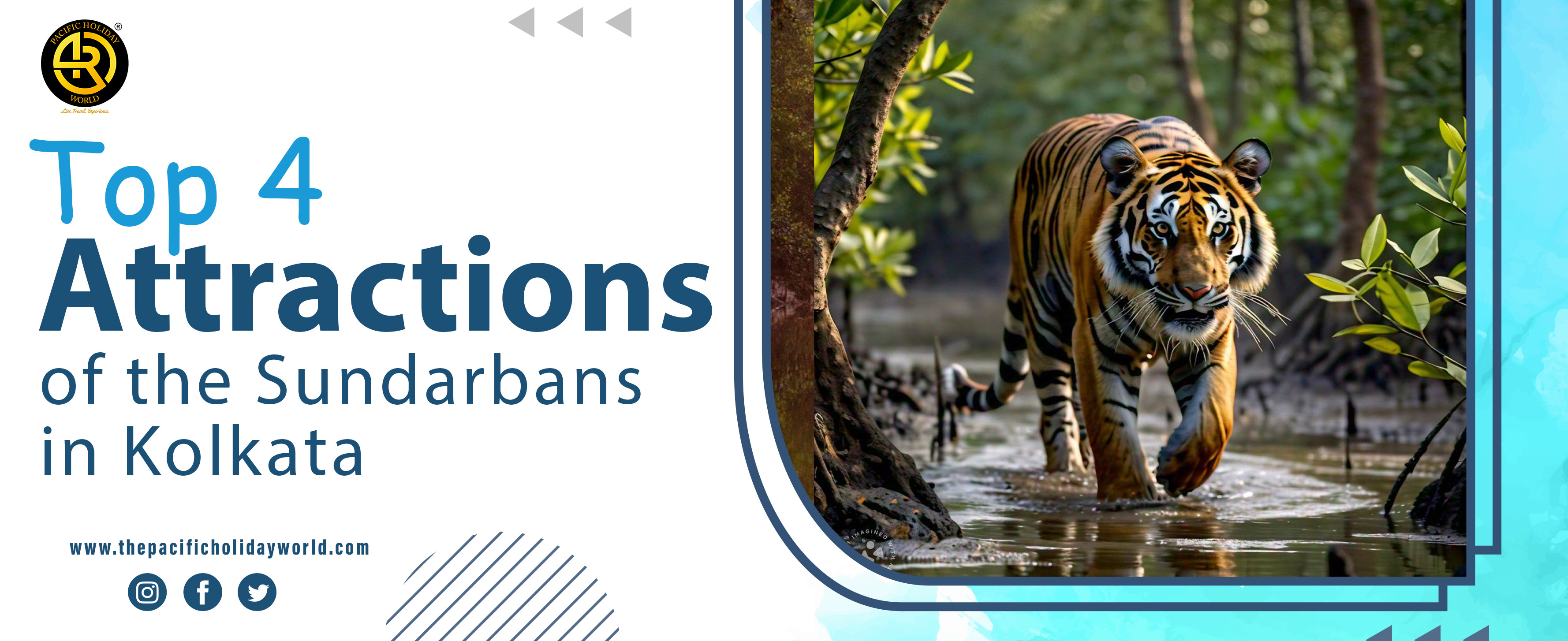 Top 4 Attractions of the Sundarbans in Kolkata